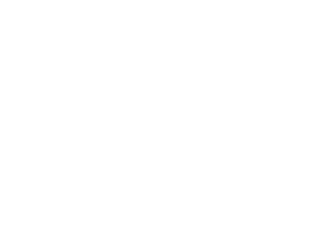 First Look Institute
