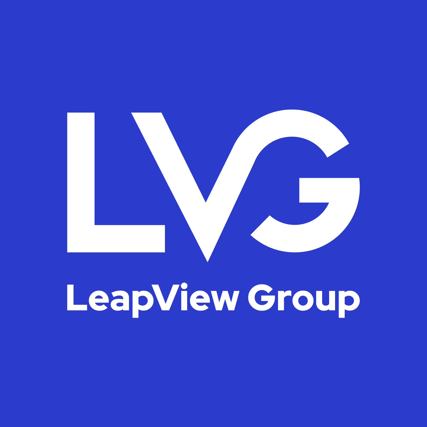 LeapView Group