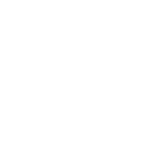Sharon Z Consulting