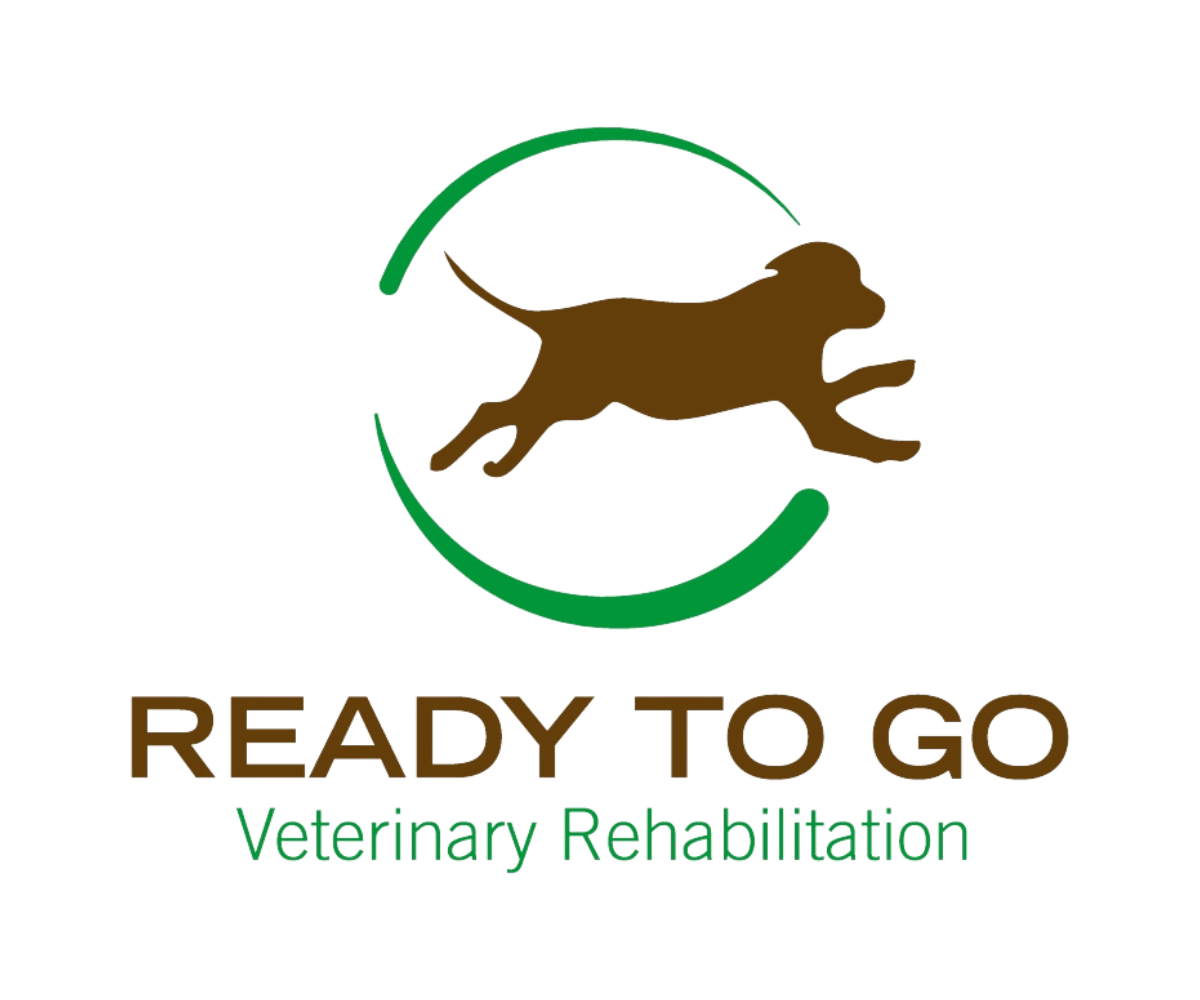 Ready to Go Veterinary Rehabilitation