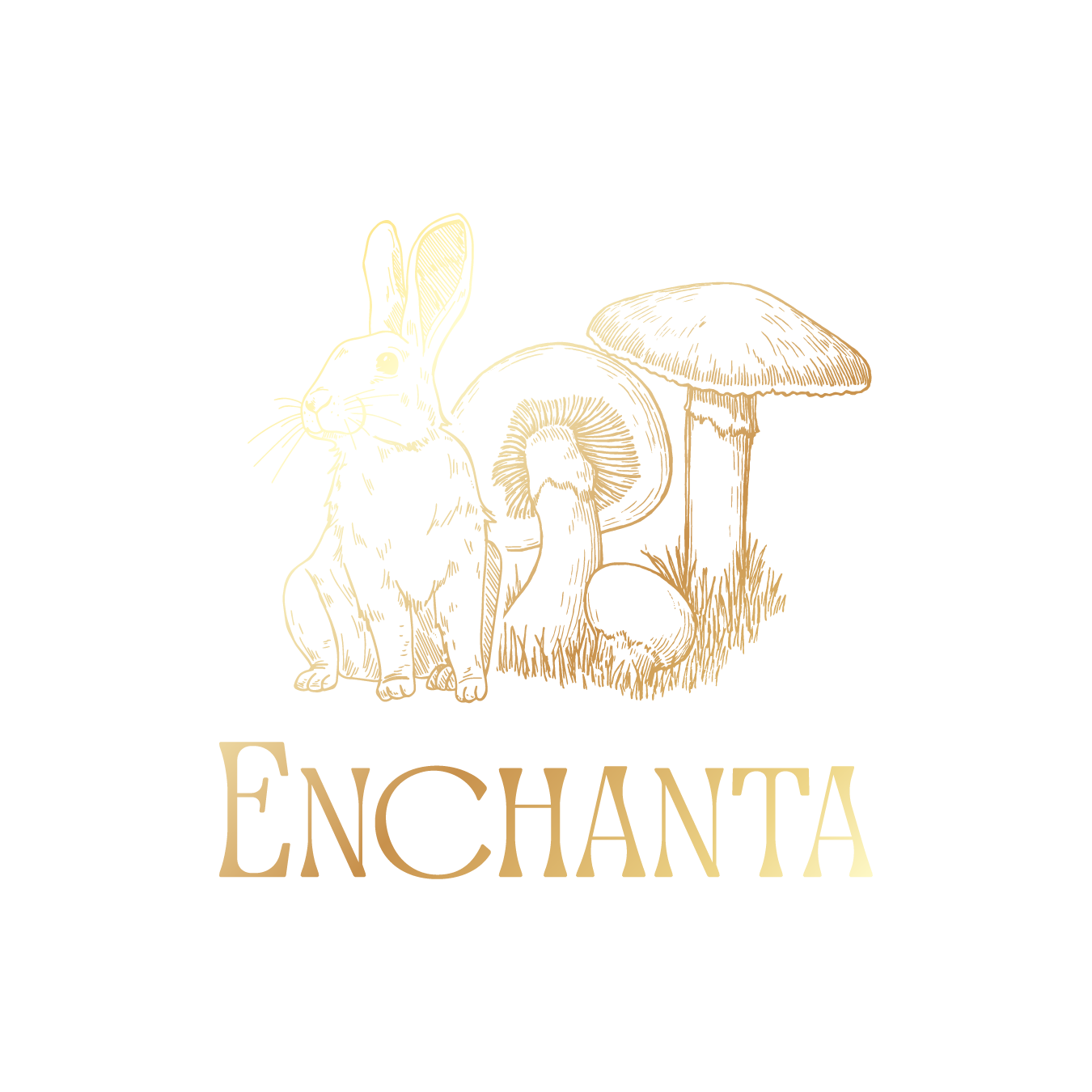 Enchanta Experiences