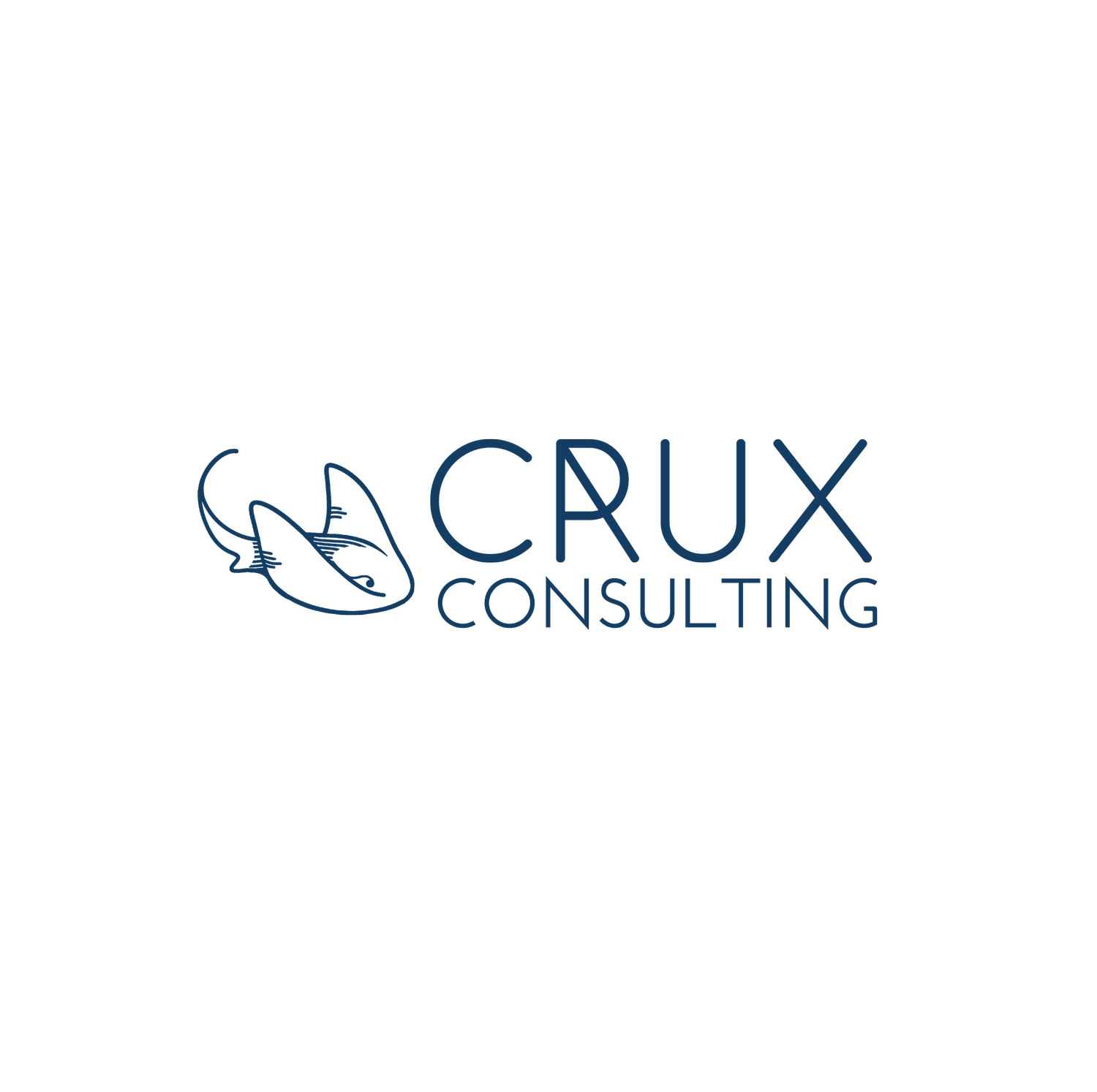 Crux Consulting - Business Development Consultancy