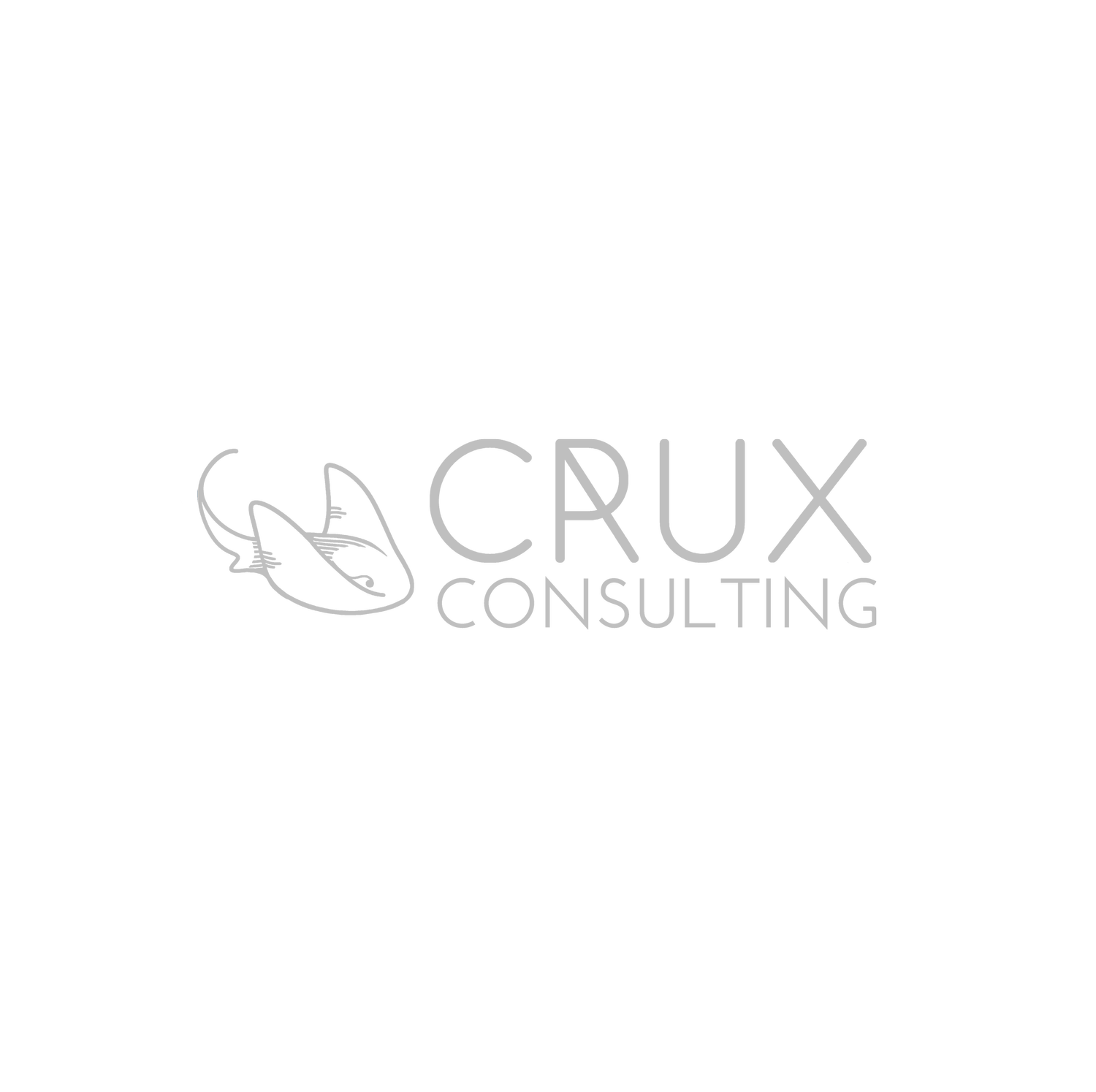 Crux Consulting - Business Development Consultancy