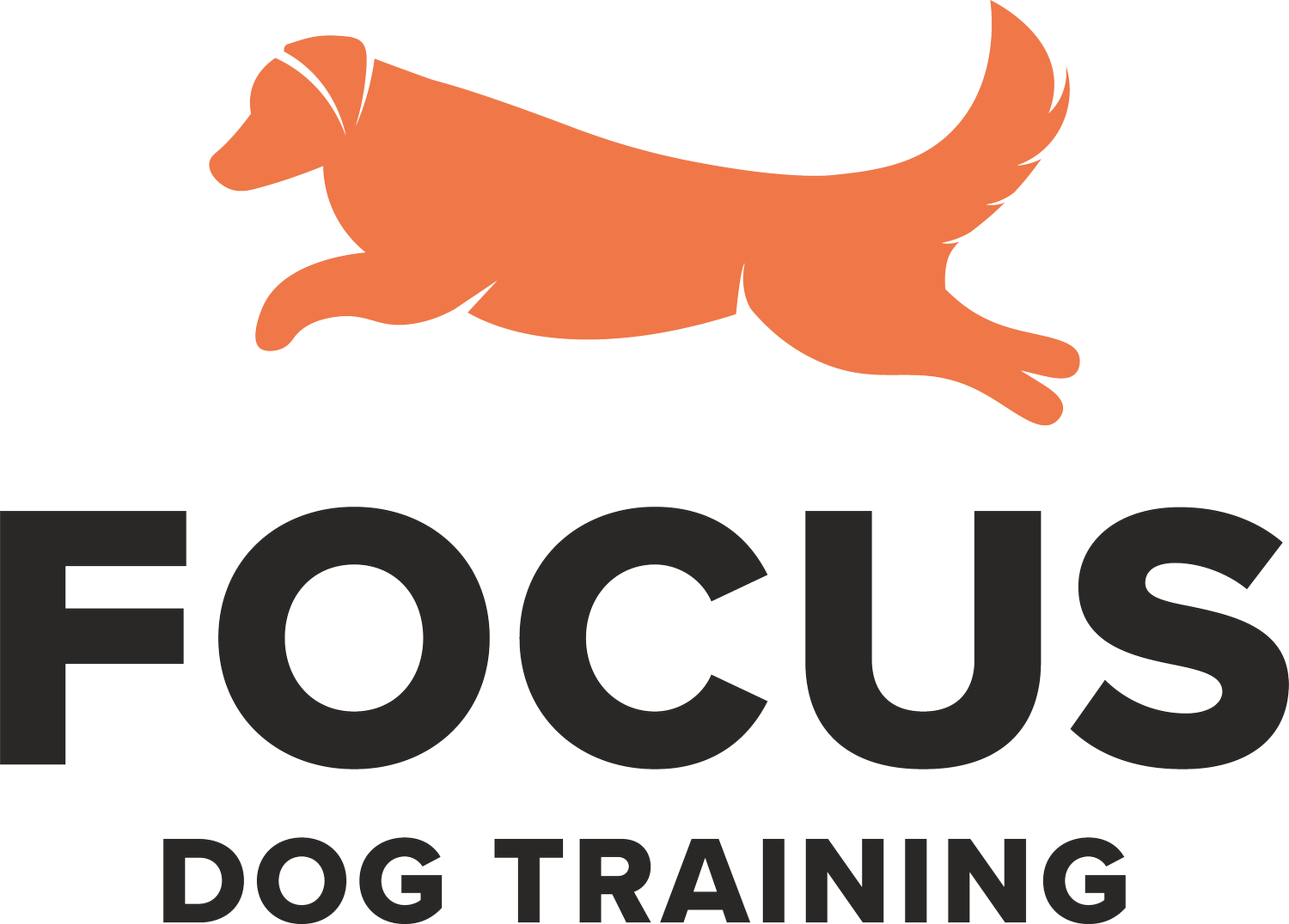 Focus Dog Training