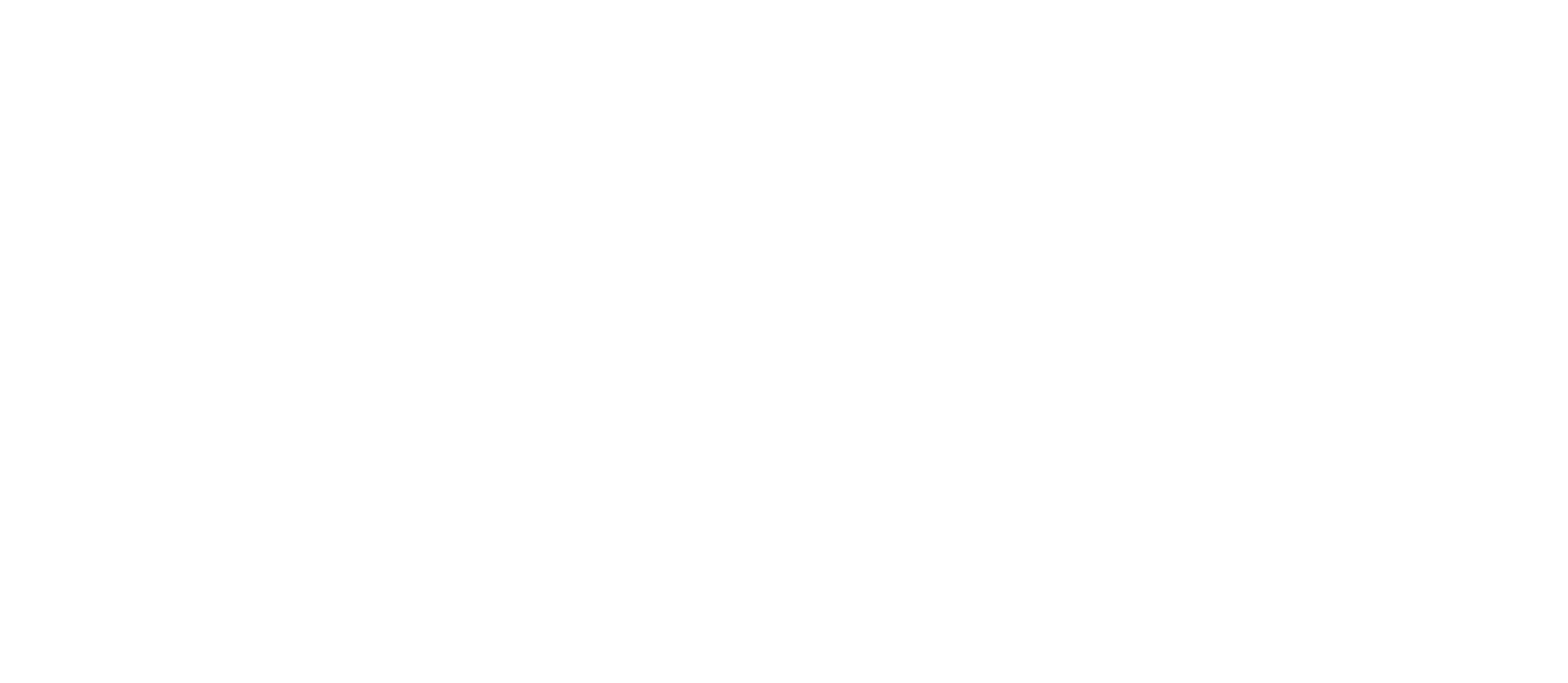 Texas Flourish Project