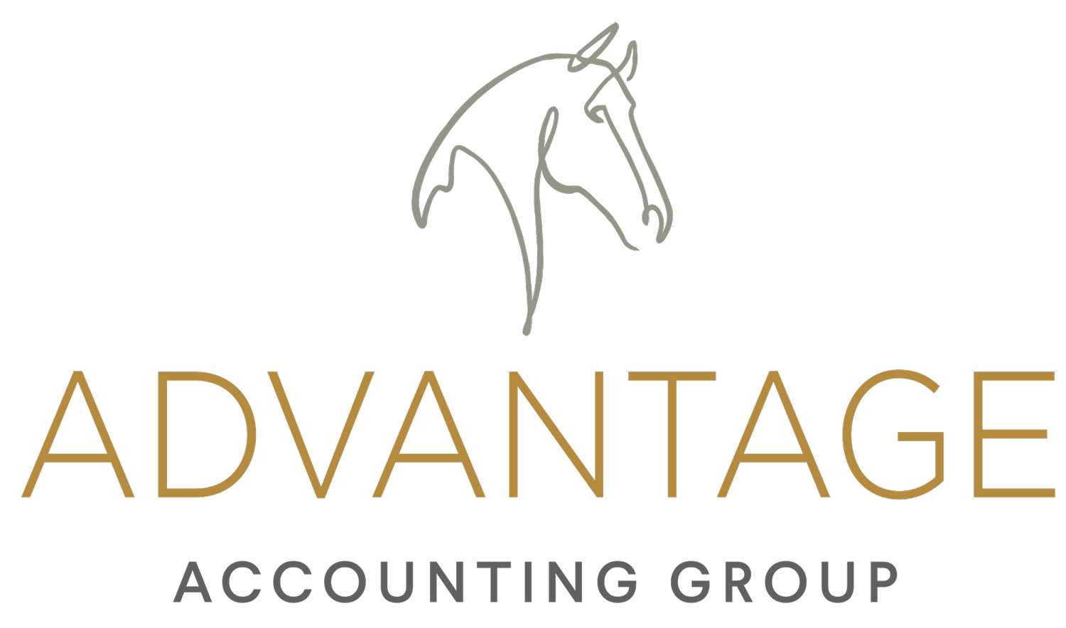 Advantage Accounting Group
