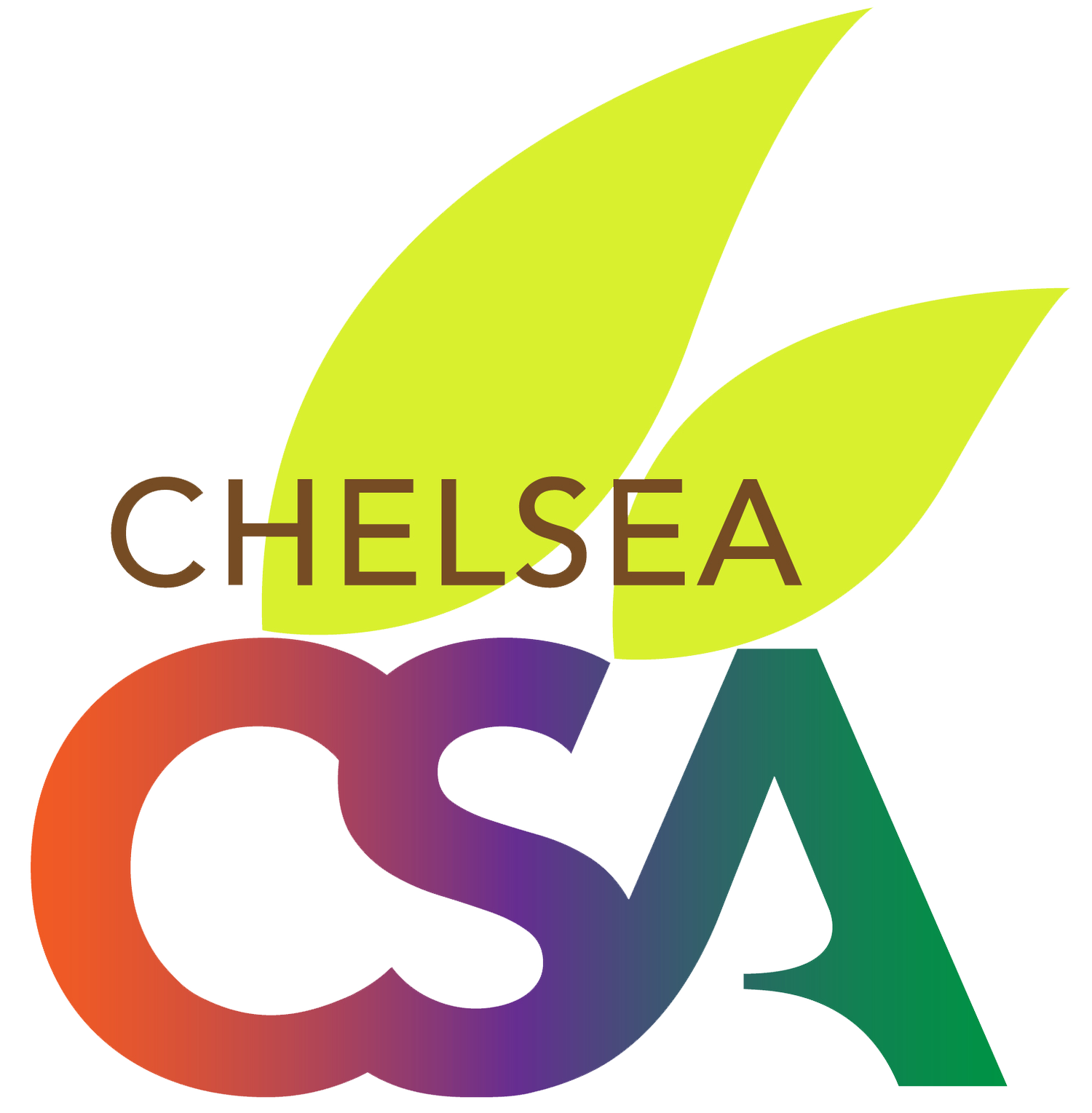 Chelsea CSA