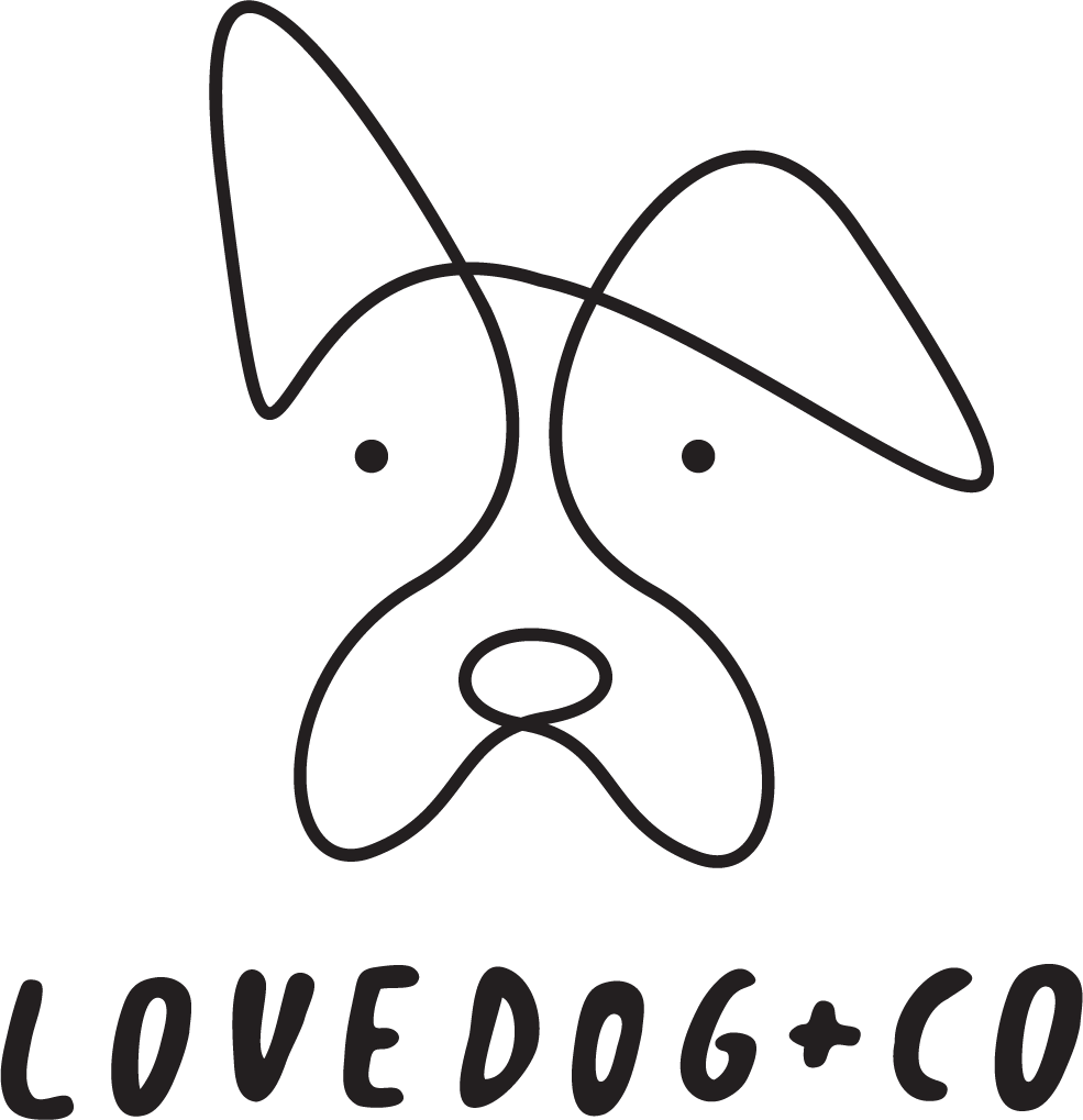 Lovedog + Co | Fine Art Pet Photography in Carmel, CA