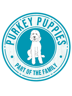 Purkey Puppies