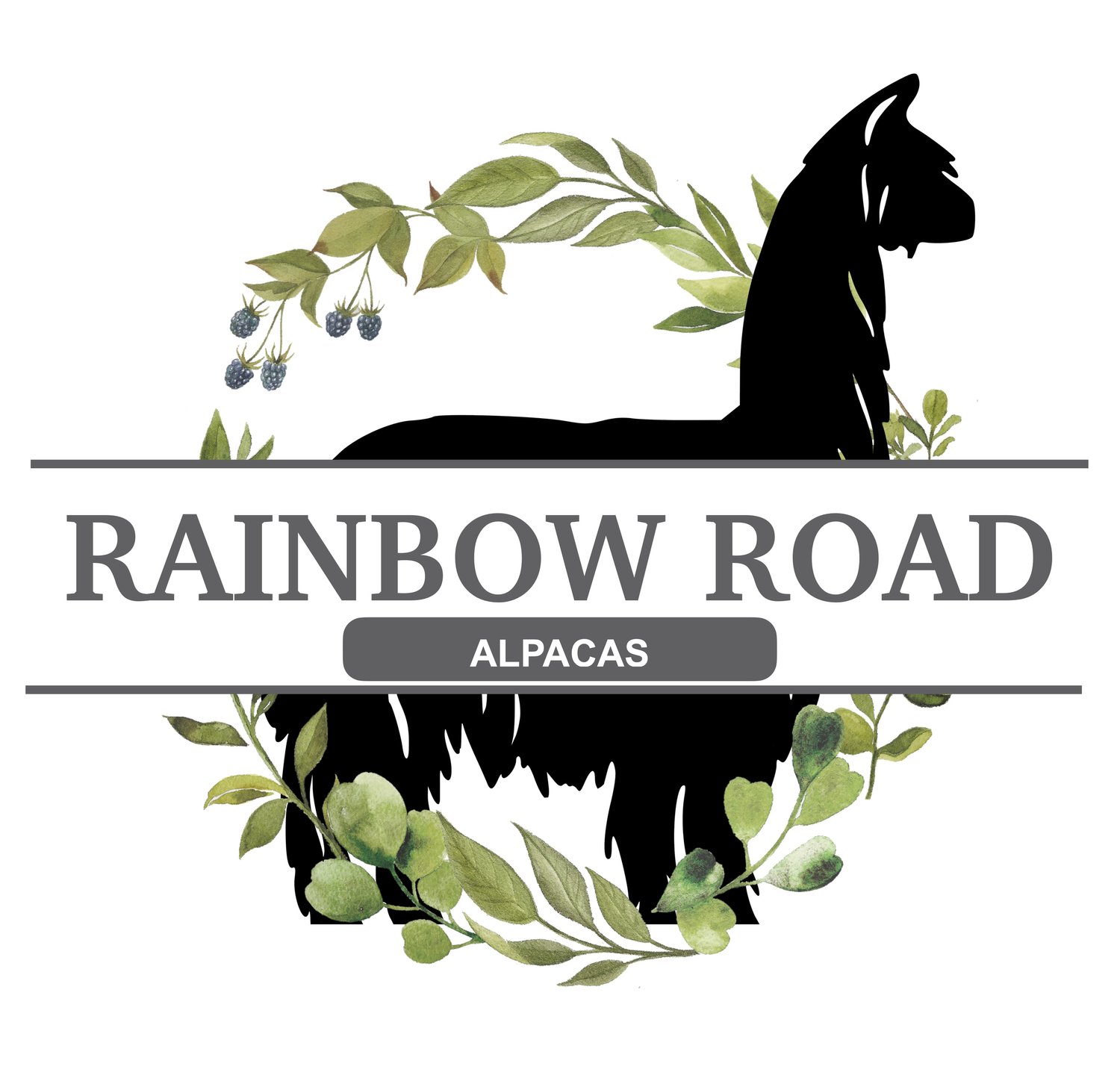 Rainbow Road Alpacas