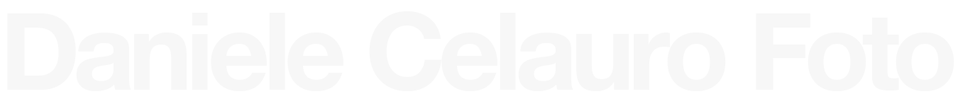 Fotografo di matrimonio a Bologna - Reportage - Daniele Celauro