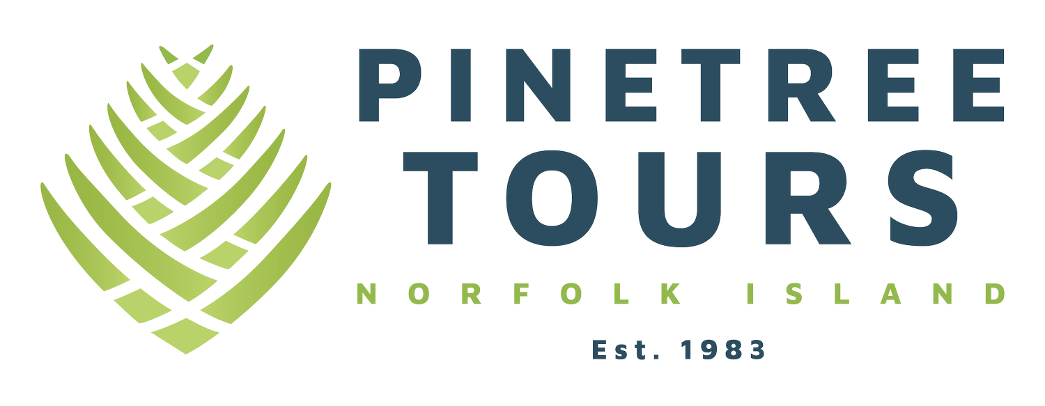 Pinetree Tours