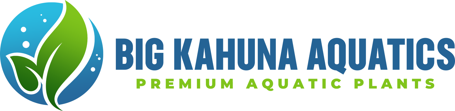Big Kahuna Aquatics