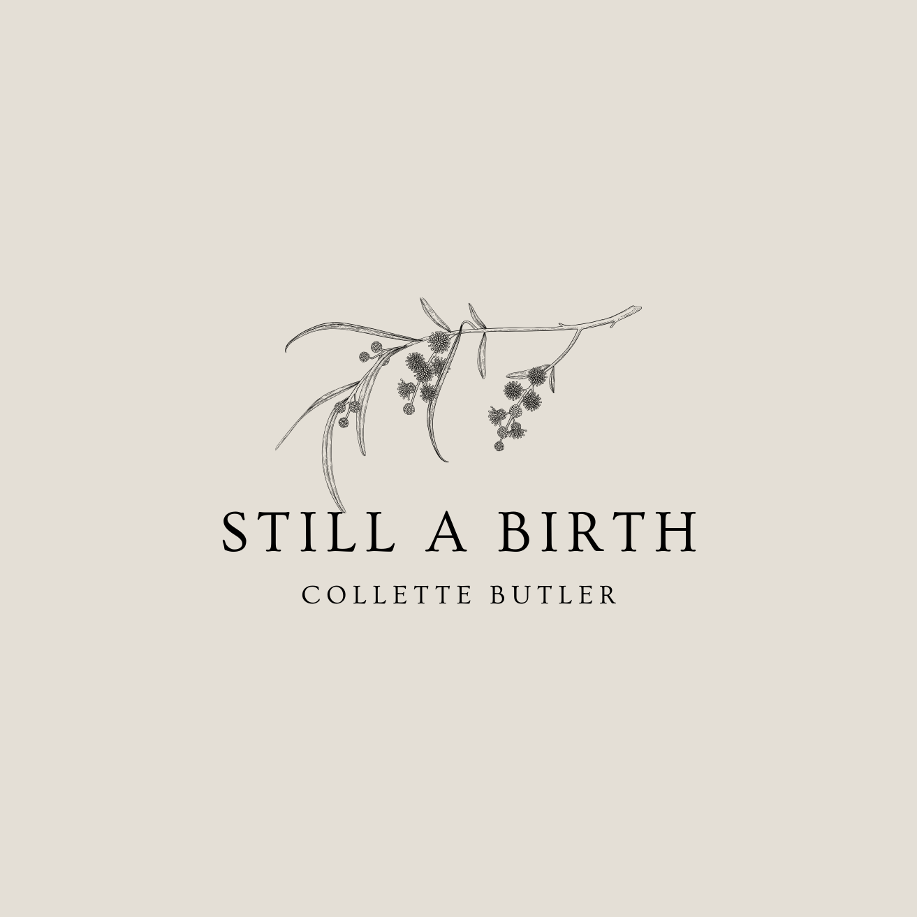 Still a birth
