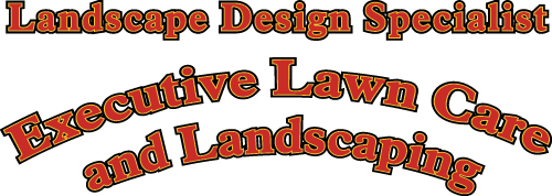Executive Lawn Care and Landscaping