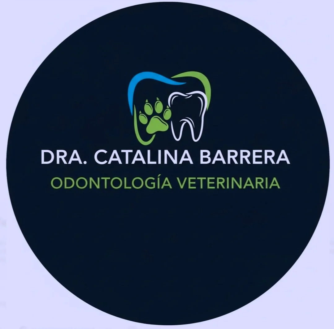 PETDENT CLINICA DENTAL VETERINARIA