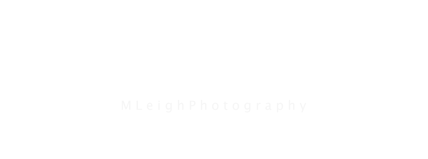 MLeigh Photography