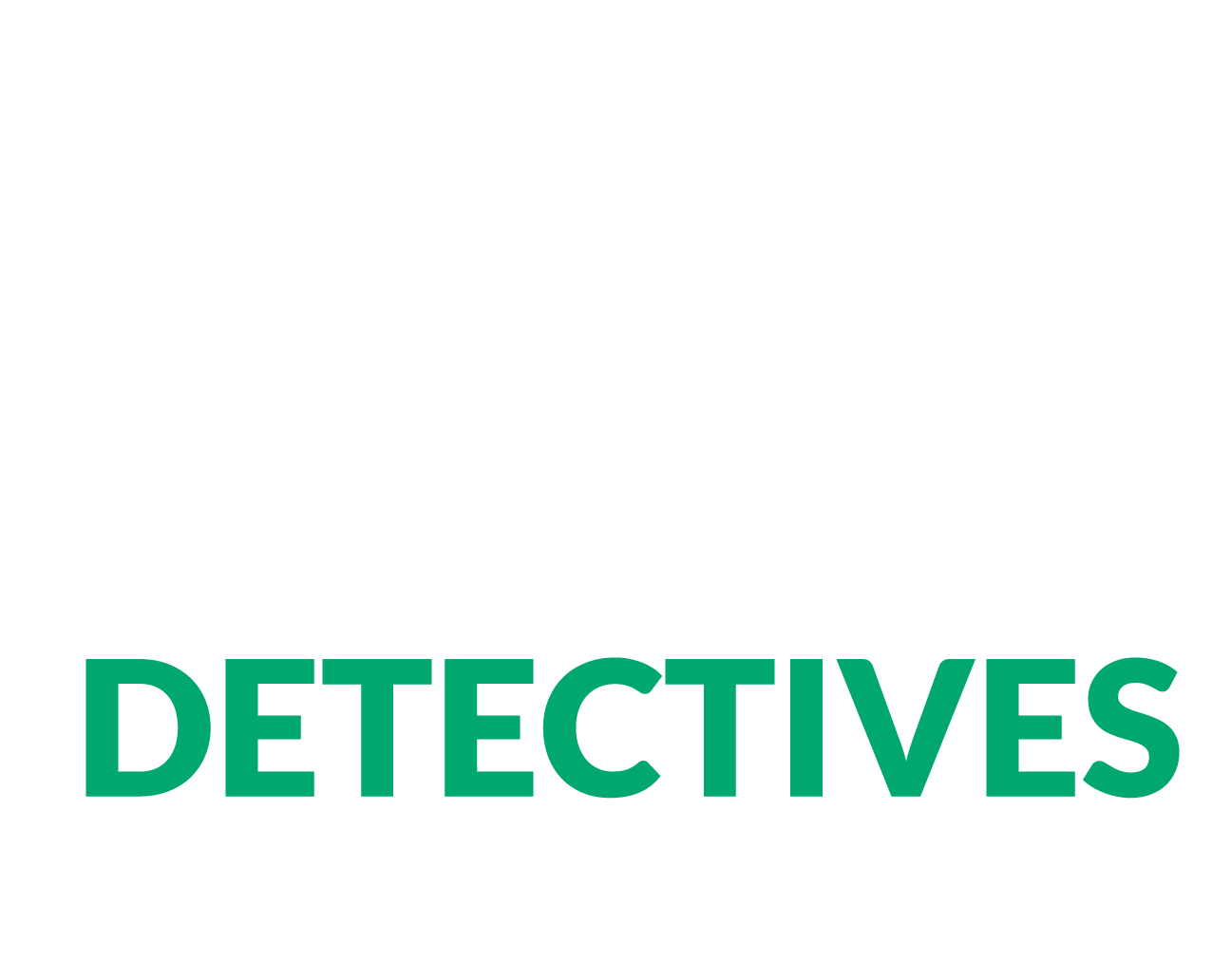 The Organizational Detectives