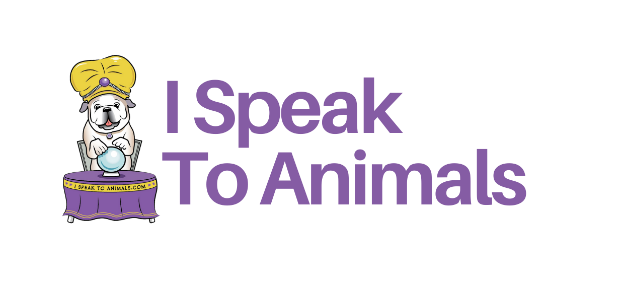 I Speak To Animals