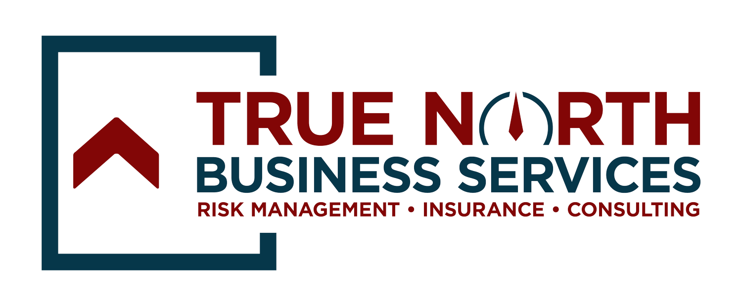 True North Business Services: Purpose Driven, Exceptional Service