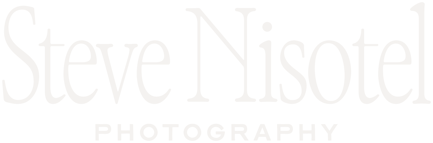 Steve Nisotel Photography