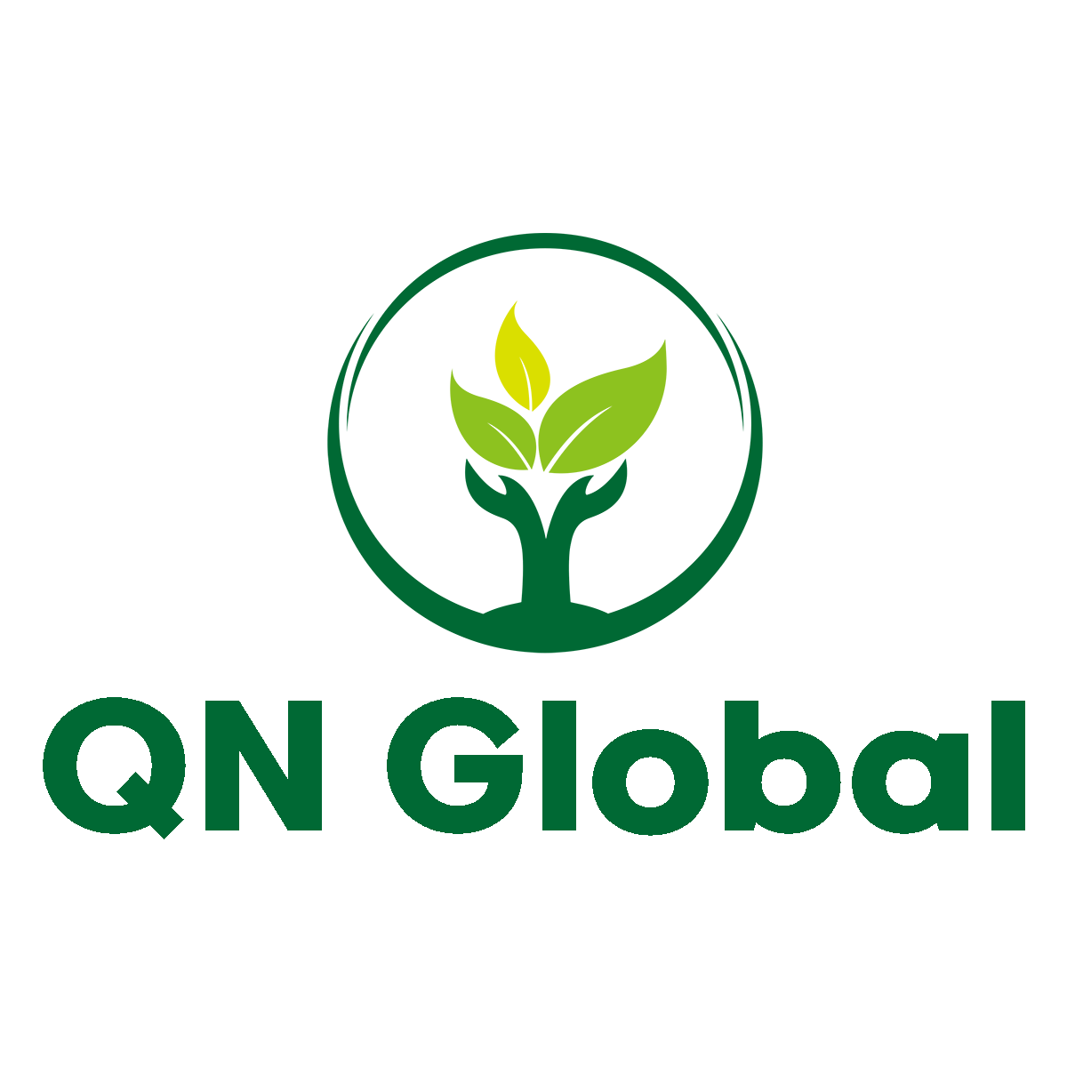 QN Global