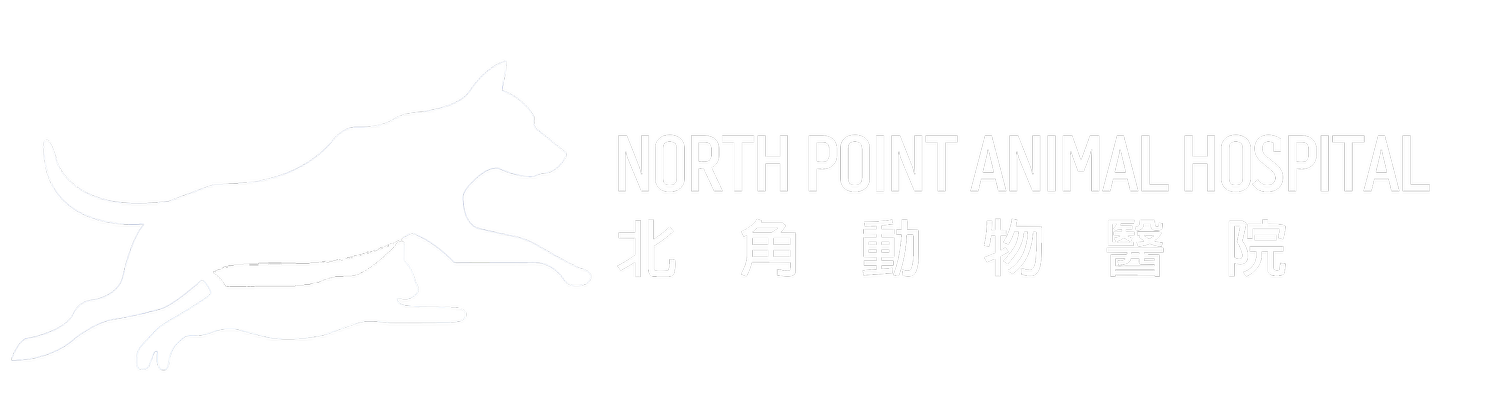 North Point Animal Hospital | 北角動物醫院