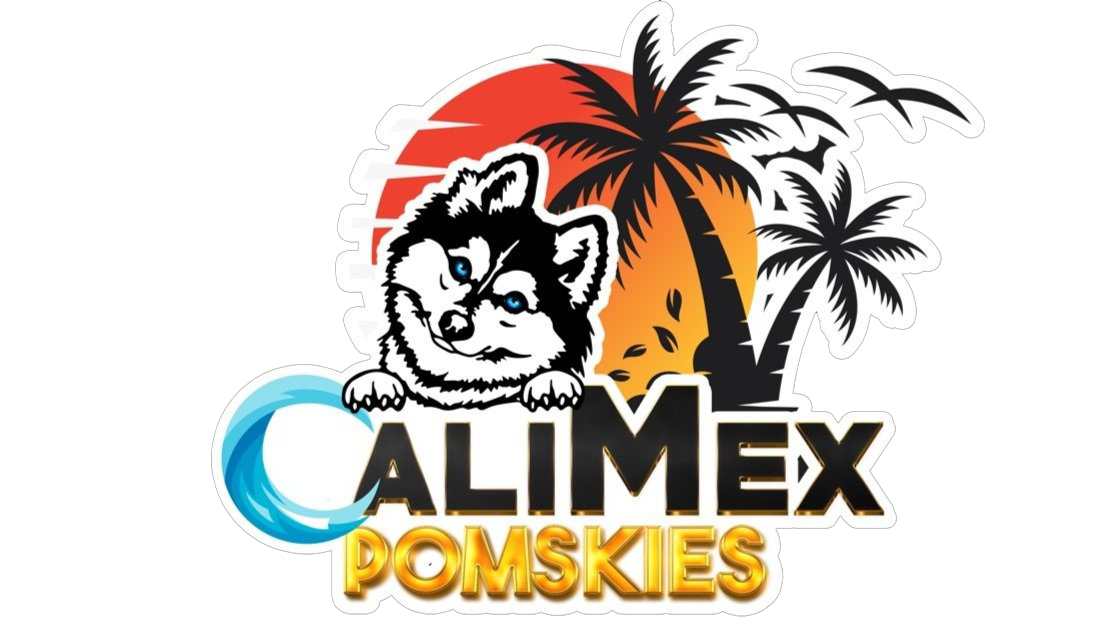 Calimex Pomskies