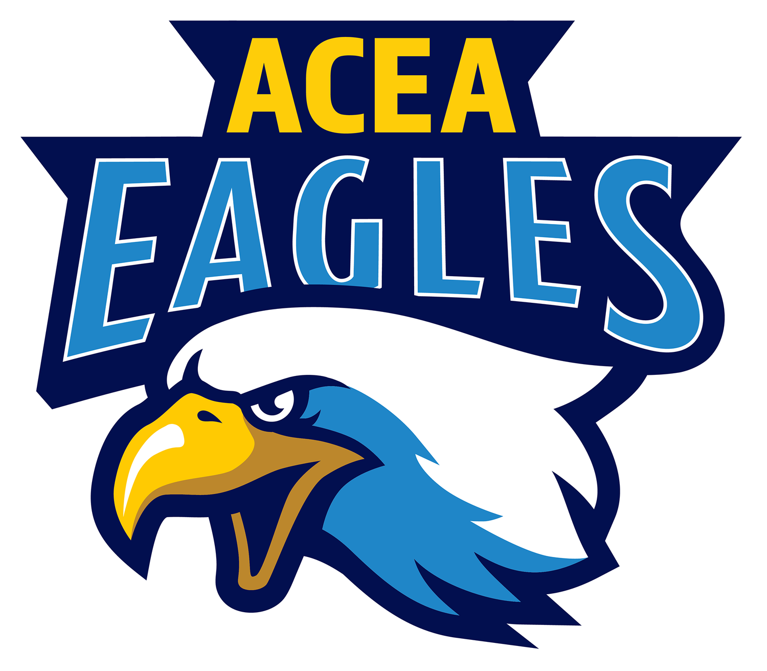 ACEA - Academic and Career Education Academy