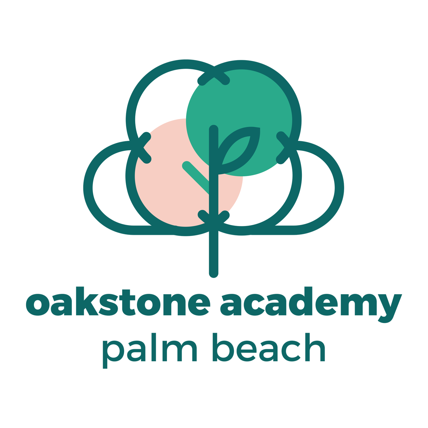 Oakstone Academy Palm Beach