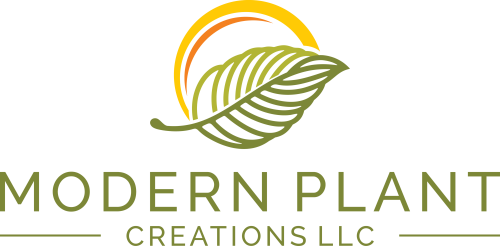 Modern Plant Creations LLC 