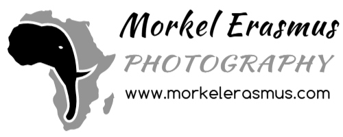 Morkel Erasmus Photography