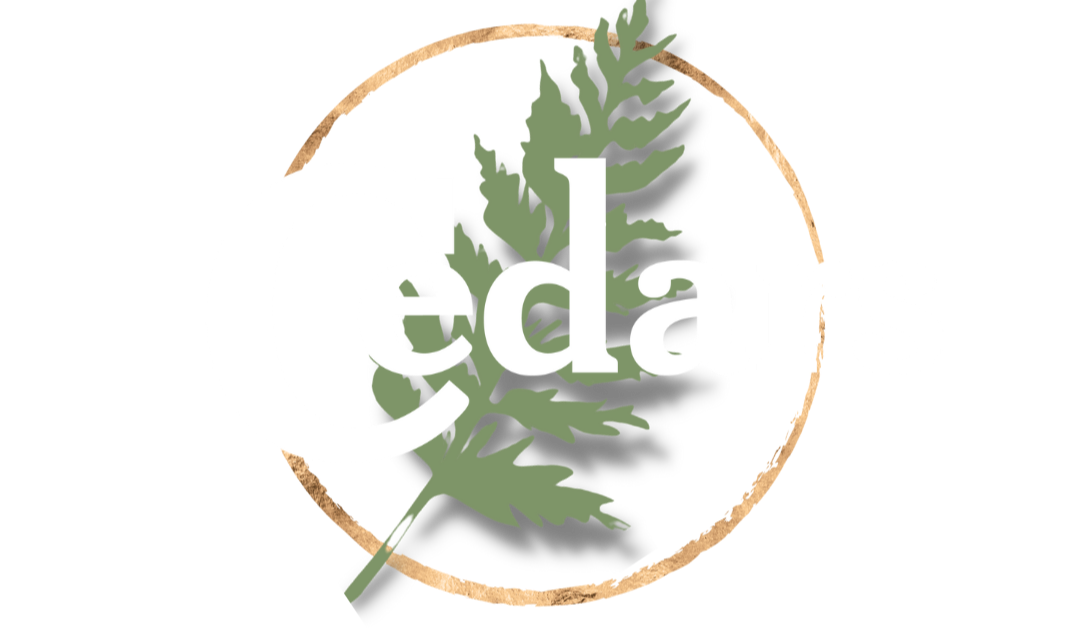 Cedars Recovery