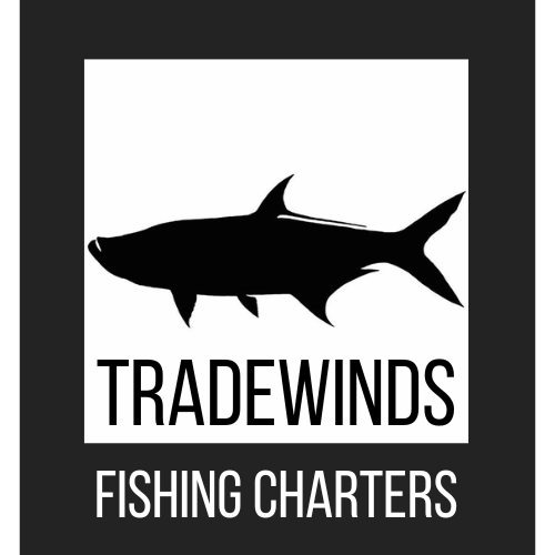 TRADEWINDS FISHING CHARTERS