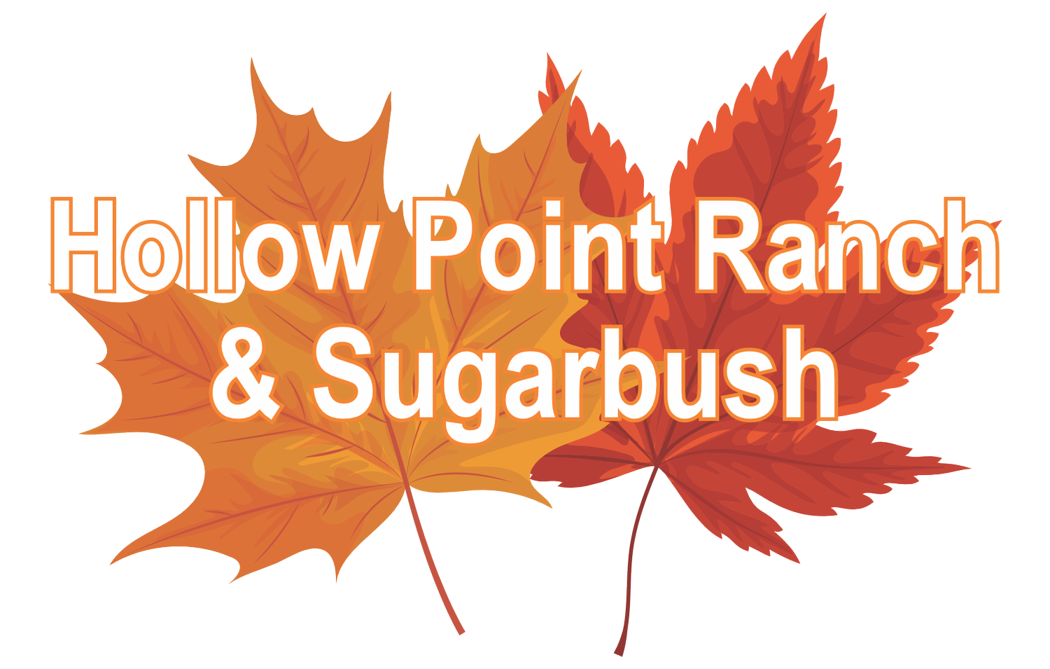 Hollow Point Ranch and Sugarbush
