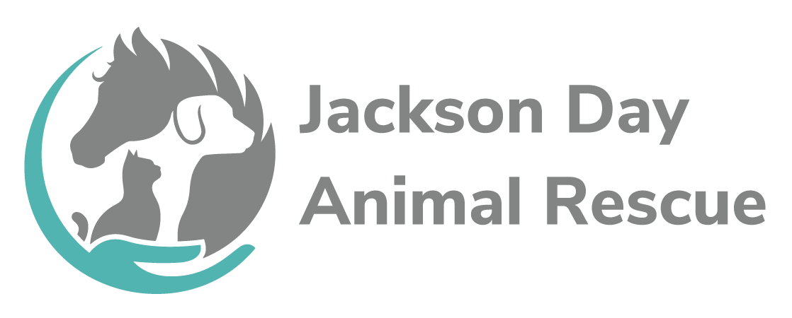 Jackson Day Foundation