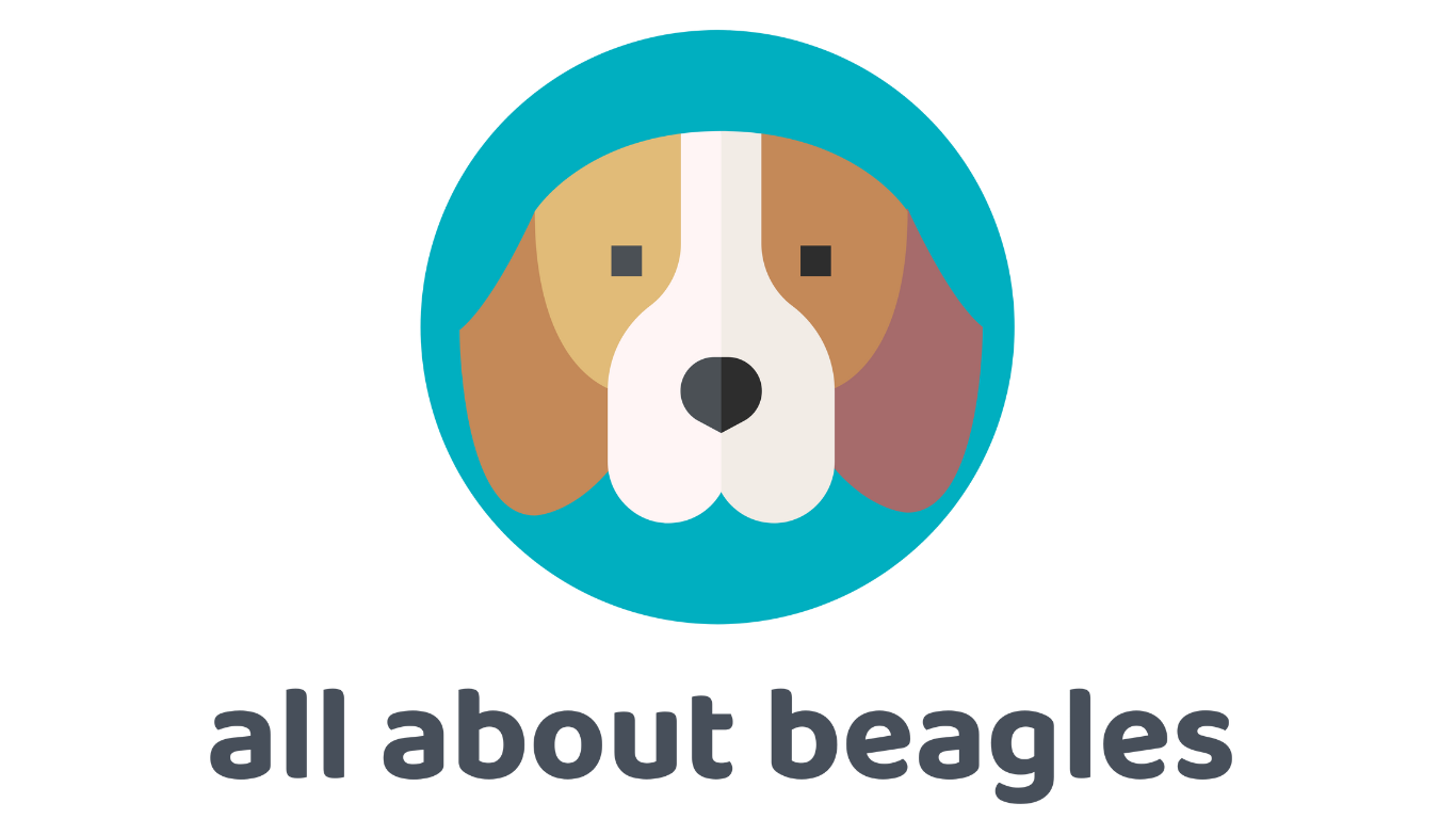 All About Beagles