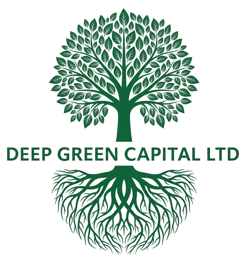 Large Asset and Project Financing