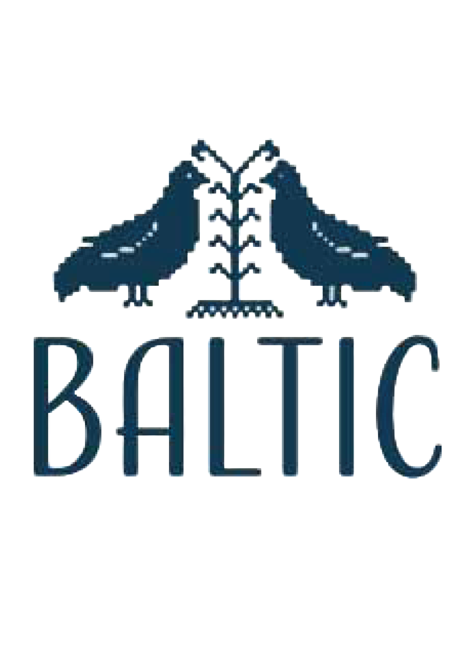 BALTIC TRAVEL