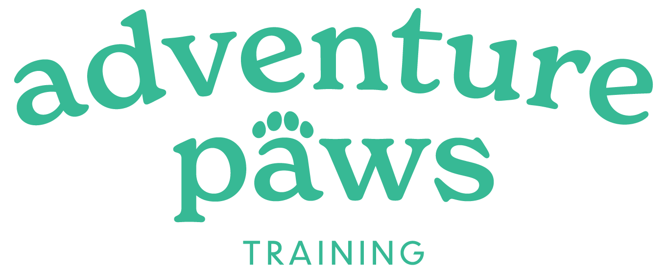 Adventure Paws Training