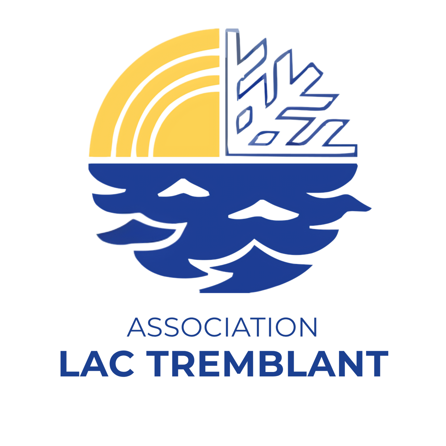 Lake Tremblant Association