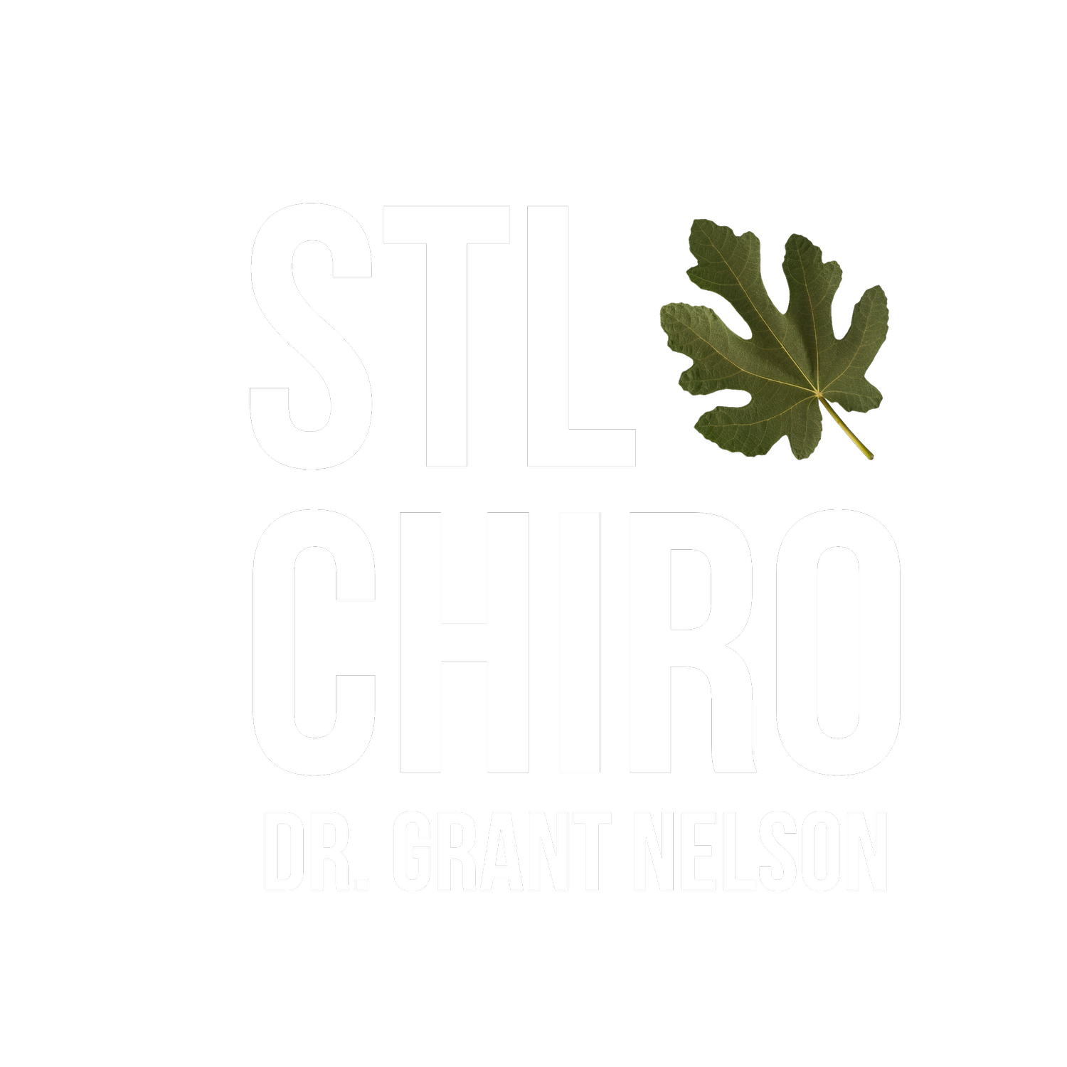 STL Chiro | Dr. Grant Nelson | Wildwood, Missouri
