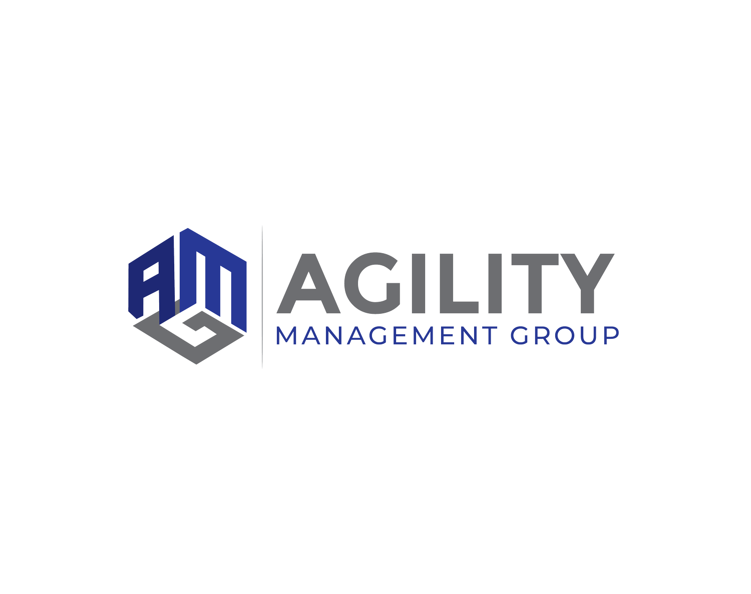 Agility Management Group
