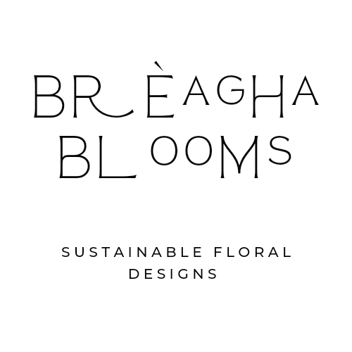 Brèagha Blooms Glasgow