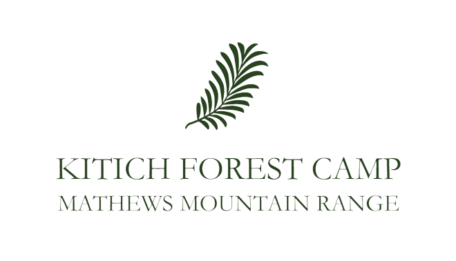Kitich Forest Camp