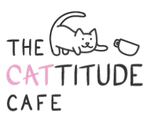 Cattitude Cafe Sioux Falls