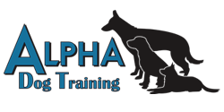 Alpha Dog Training