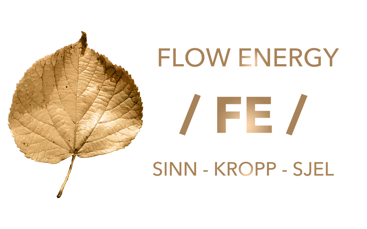Flow Energy – Stedet for helende behandling