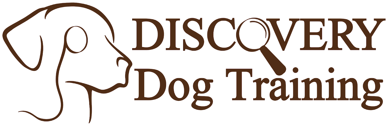 Discovery Dog Training