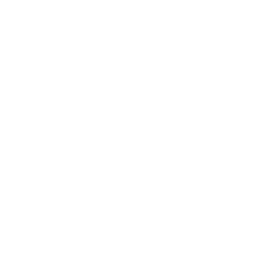 Bridge + Grace Management Consulting 